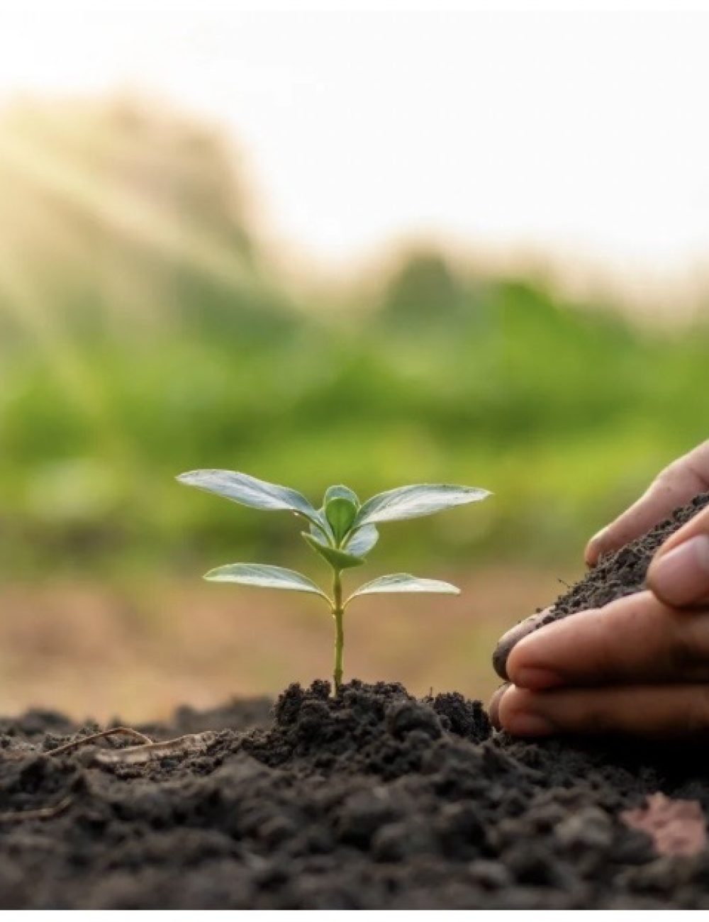 蜀咏悄 2023-12-17 22 29 09